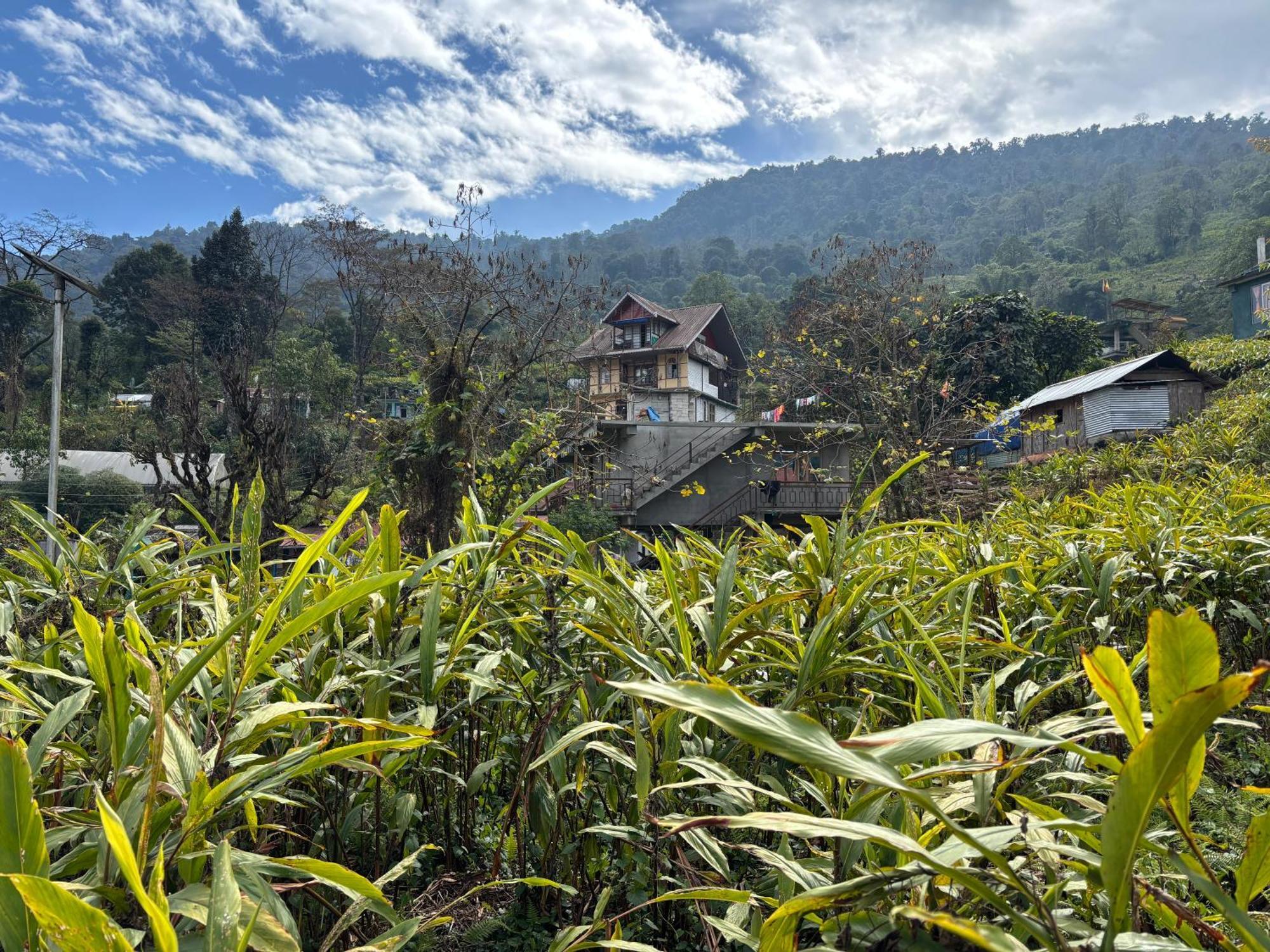佩林Odyssey'S Darap Eco Retreat公寓 外观 照片