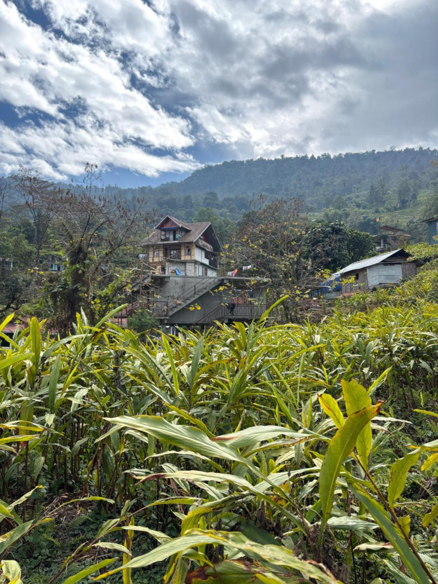 佩林Odyssey'S Darap Eco Retreat公寓 外观 照片