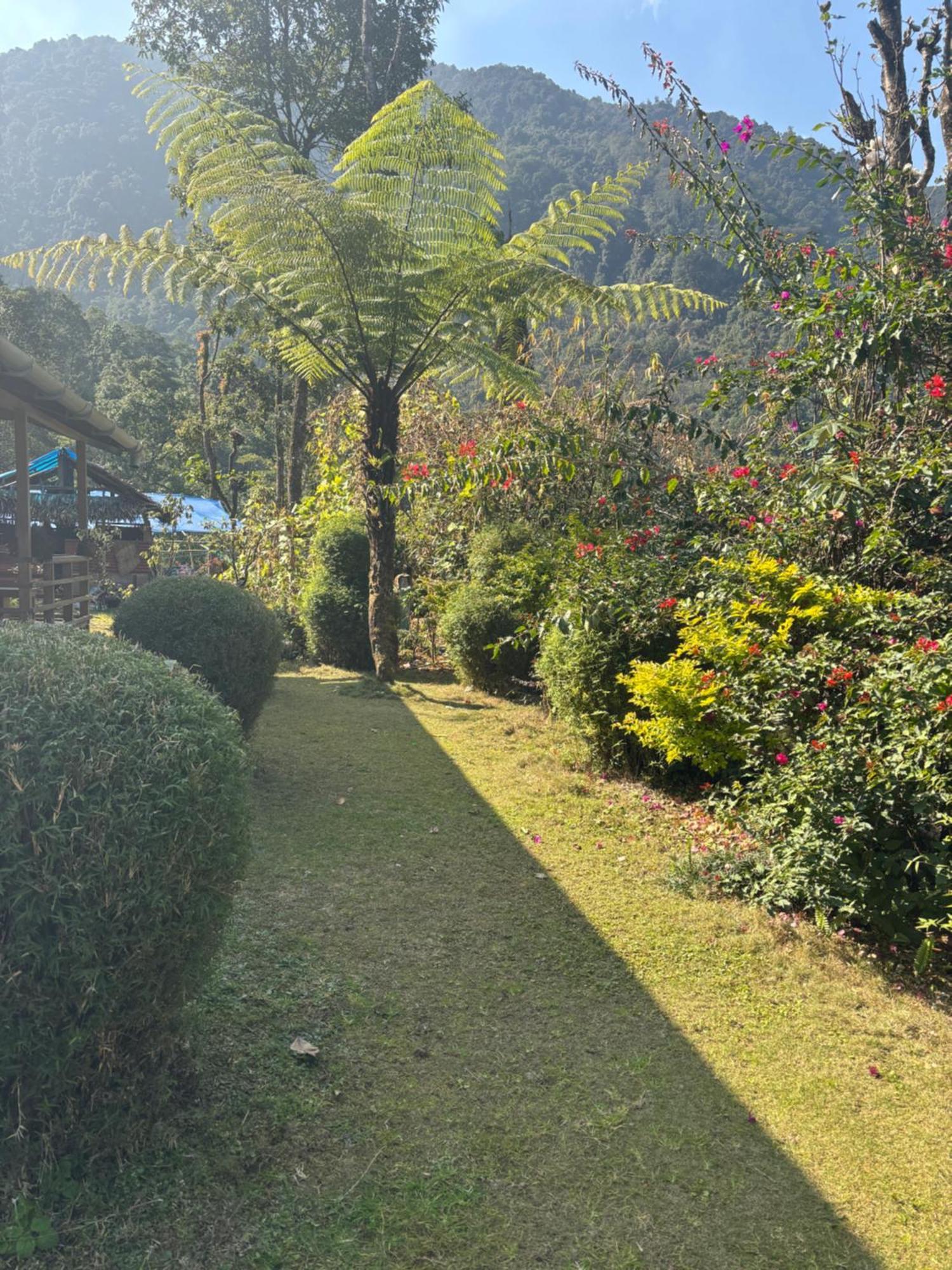 佩林Odyssey'S Darap Eco Retreat公寓 外观 照片